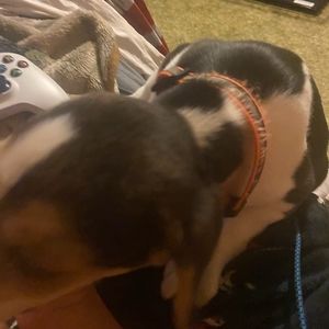 Meet your Posher, Derek